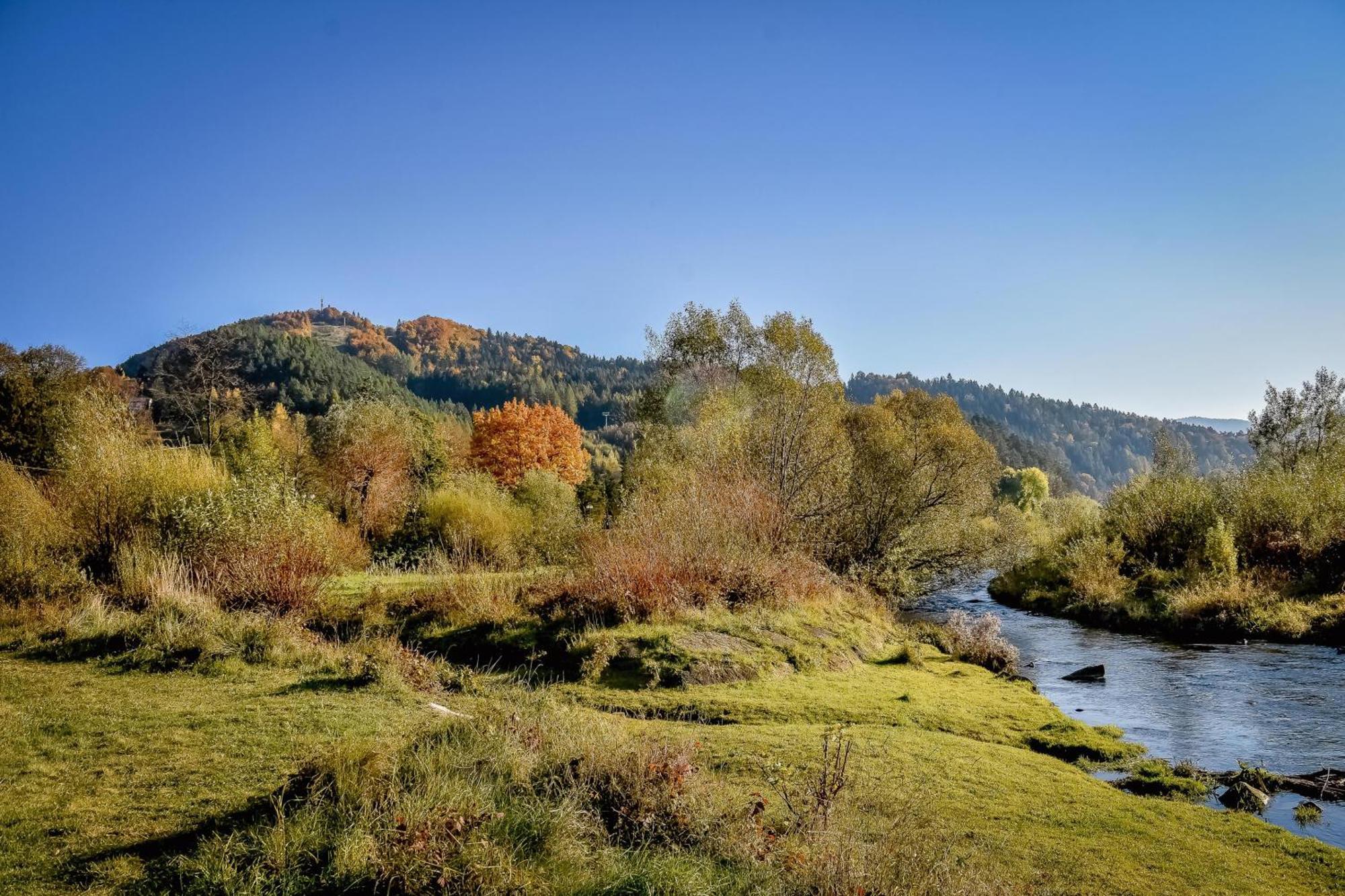 Dulakowka - Domek Na Kazda Pogode Piwniczna-Zdroj Extérieur photo