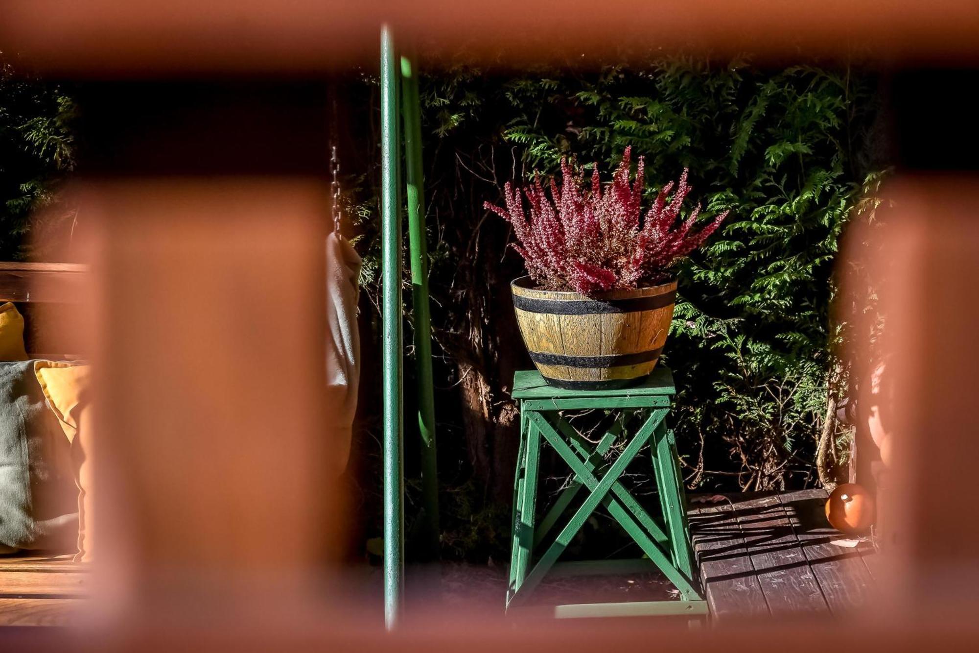 Dulakowka - Domek Na Kazda Pogode Piwniczna-Zdroj Extérieur photo
